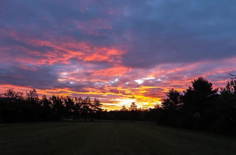Farbenfroher Sonnenuntergang mit leuchtenden rosa, orangefarbenen und lila Wolken über einer Silhouette von Bäumen und einem grasbewachsenen Feld.
