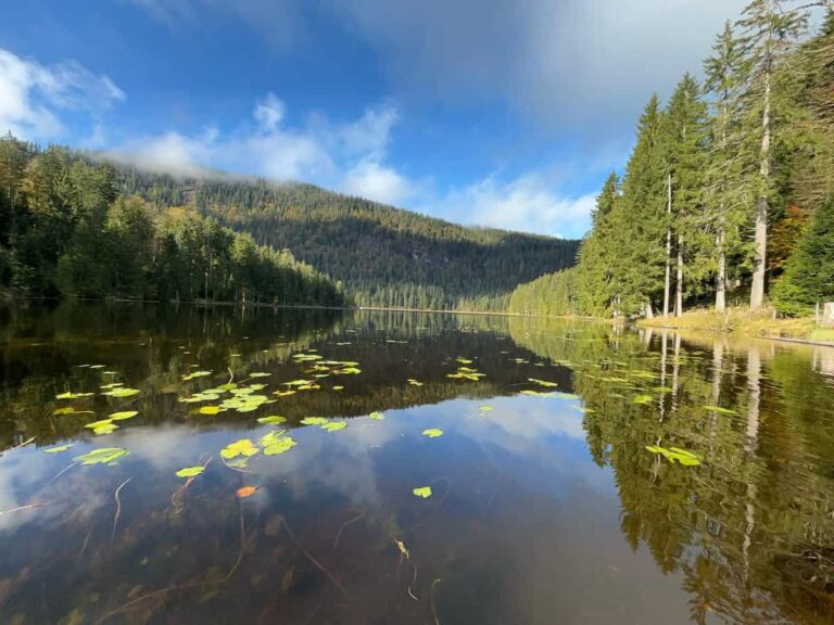 Ein von Kiefern und Bergen umgebener See mit Seerosenblättern, die unter einem teilweise bewölkten Himmel auf dem Wasser schwimmen.