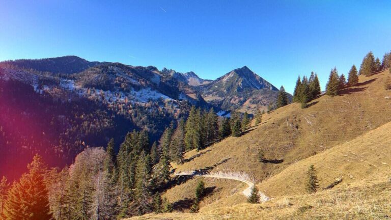 Berglandschaft mit einem gewundenen Pfad, immergrünen Bäumen und einem klaren blauen Himmel an einem sonnigen Tag.